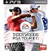�^�C�K�[�E�E�b�Y PGA TOUR 11(���{��}�j���A���t���p���)
