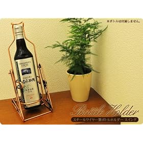 �X�`�[�����C���[���{�g���z���_�[ �X�C���O�^�C�v