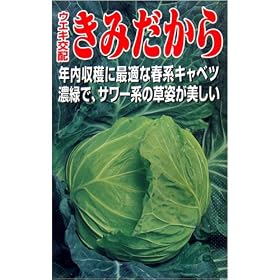 ���݂�����(���΋�)(�E�G�L��z) ����:1.2ml