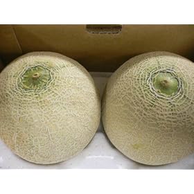 �F�{�E���E�R�`���Y�A���f�X���������2����