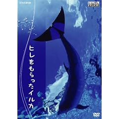 �ɂ񂰂�h�L�������g �q������������C���J [DVD]