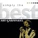 Art Garfunkel simply the best