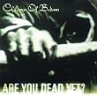 Are You Dead Yet