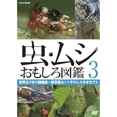 ���E���V ��������}�� 3 ���E�Ȃ肫�蒴��Z~���E�ő�!�w���N���X�I�I�J�u�g [DVD]