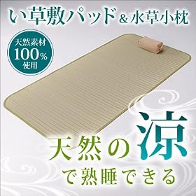 �����~�p�b�h�@�J�[�y�b�g�@EEA-SHIKIPAD-G