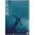 �l���`�� [DVD]