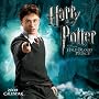 Harry Potter and the Half-Blood Prince: 2009 Mini Wall Calendar