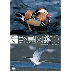 �V �쒹�}�� ��3�W �r��΂̐���/�C�ɕ����� [DVD]