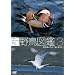 �V �쒹�}�� ��3�W �r��΂̐���/�C�ɕ����� [DVD]
