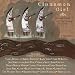 Cinnamon Girl: Women Artists Cover Neil Young for Charity