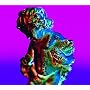 �e�N�j�[�N�y�R���N�^�[�Y�E�G�f�B�V�����z