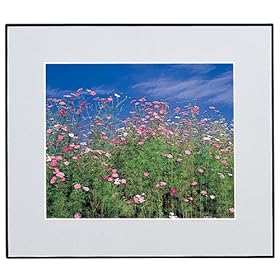 【クリックで詳細表示】フジカラー ギャラリーパネル グレー