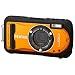 PENTAX �h���f�W�^���J���� Optio W90 �V���C�j�[�I�����W OPTIOW90SO