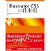 Illustrator CS3�̎d���p
