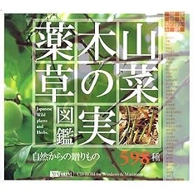 �R�؁E�؂̎��E�򑐐}�� Japanease Wild Plants and Herbs. ~���R����̑������ 598��~