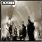 �I�A�V�X�̂�����//oasis