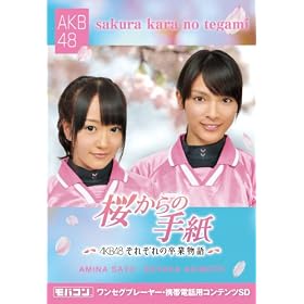 ���o�R�� �u������̎莆~AKB48���ꂼ��̑��ƕ���~�v �H���ˉ�&���������� MicroSD ZNSD-0103