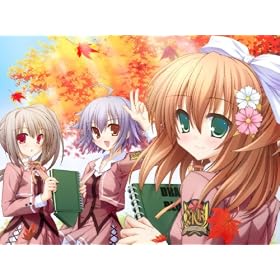 �G�^�[�i���E�G�`���[�h Canvas4(�ʏ��)
