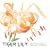 TIGER LILY