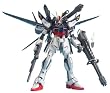 MG 1/100 GAT-X105E ���J�X�E�I�h�l����p �X�g���C�NE + I.W.S.P. (�@����m�K���_��SEED FRAME ASTRAYS)