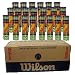 Wilson(�E�C���\��) �d���e�j�X�{�[�� �{�[�i�X�p�b�N�y�S��(�P�����W�S������)�z WR6630 BONUS PACK