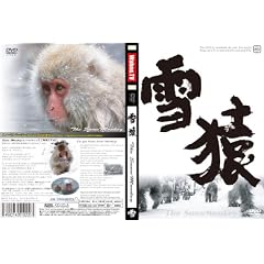 �቎ ~The SnowMonkey~ �X�m�[�����L�[ DVD