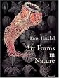 Art Forms in Nature: The Prints of Ernst Haeckel (Monographs)