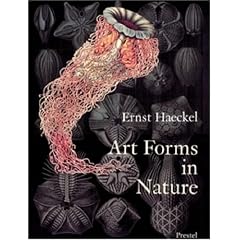 Art Forms in Nature: The Prints of Ernst Haeckel (Monographs)