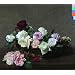 �䂪�t�̃��b�N���ՁA���ȁ{���^�{�N�̍D����New Order