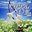 �A�N�A���E���E���C�t �`�������ʂ�M�ы��Ɛ����̏��F���` [DVD]