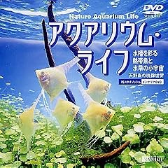 �A�N�A���E���E���C�t �`�������ʂ�M�ы��Ɛ����̏��F���` [DVD]