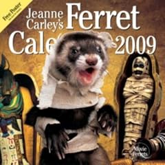 Jeanne Carley's Ferret 2009 Calendar