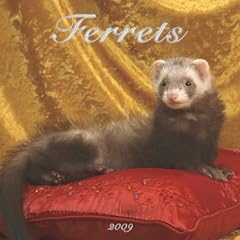 Ferrets 2009 Calendar