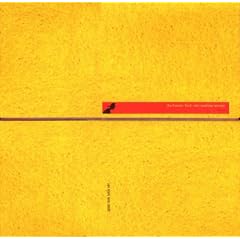 Fluid Remix [12 inch Analog]