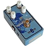 Catalinbread Montavillian Echo