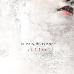 IN PAIN/�Ƃ����������m