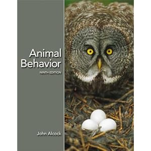 【クリックで詳細表示】Animal Behavior： An Evolutionary Approach [ペーパーバック]