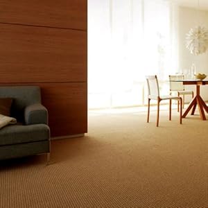 【クリックで詳細表示】なかね家具 東リ カーペット 防ダニ 江戸間長4畳半(200x352) SJ8202 154-01seg