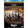 �r��̎��l (���ʕ�) (�x�X�g�q�b�g�E�Z���N�V����) [DVD]