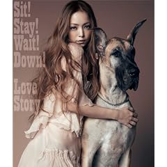 Sit! Stay! Wait! Down!/Love Story(DVD�t)
