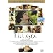 Little DJ �����ȗ��̕��� [DVD]