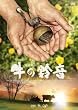 ���̗鉹(�����̂�������) [DVD]