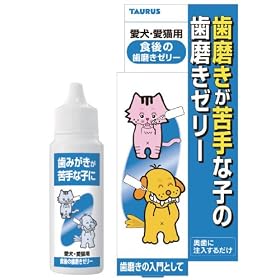 �H��̎��݂����[���[30ML 30mL1�{��