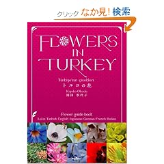 FLOWERS IN TURKEY �g���R�̉�