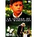 ���̐� [DVD]