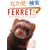 FERRET(�t�F���b�g) Vol.1�\MAGAZINE FOR SMALL PET LOVERS (OAK MOOK 1 �������V���[�Y No.)