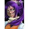 BLEACH �V�����V�L�J���� 4 [DVD]