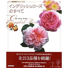 �C���O���b�V�����[�Y�̂��ׂ�