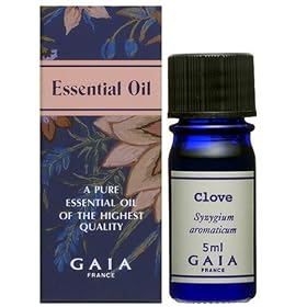 GAIA �N���[�u 5ml�yHTRC3�z