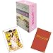 1�������� 24�̂ЂƂ� Vol.4 [DVD]